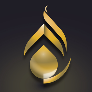 Impetus Plumbing and Heating LTD company logo