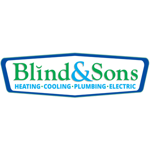 Blind & Sons company logo